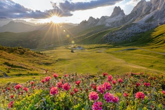 A scenic sunset over a wild landscape, symbolizing the adventurous spirit of Wild Kiwi Family LLC.