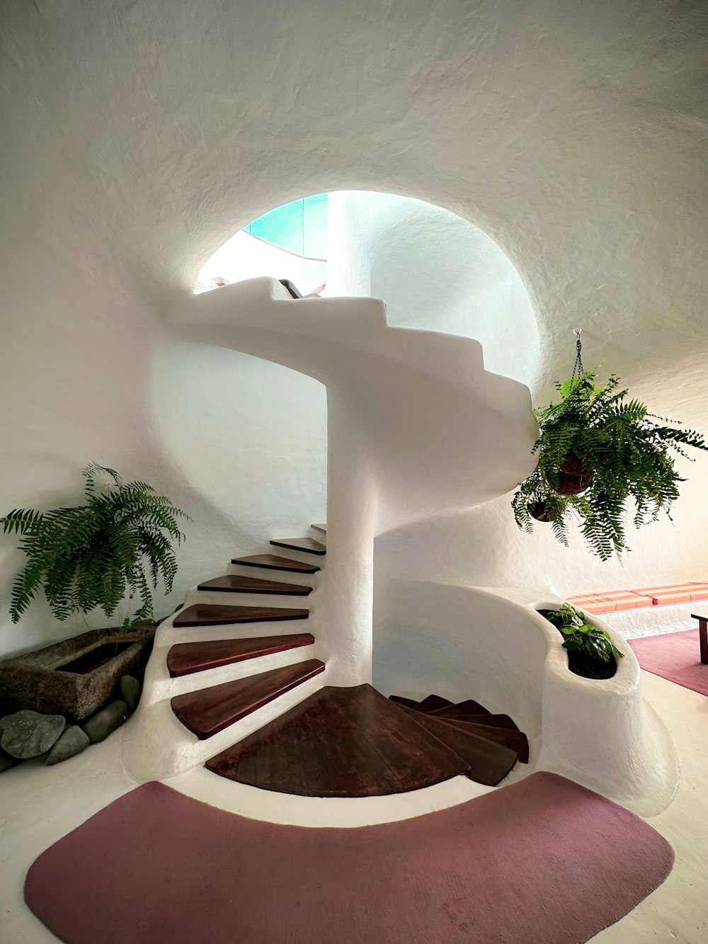 a spiral staircase with potted plants on each side