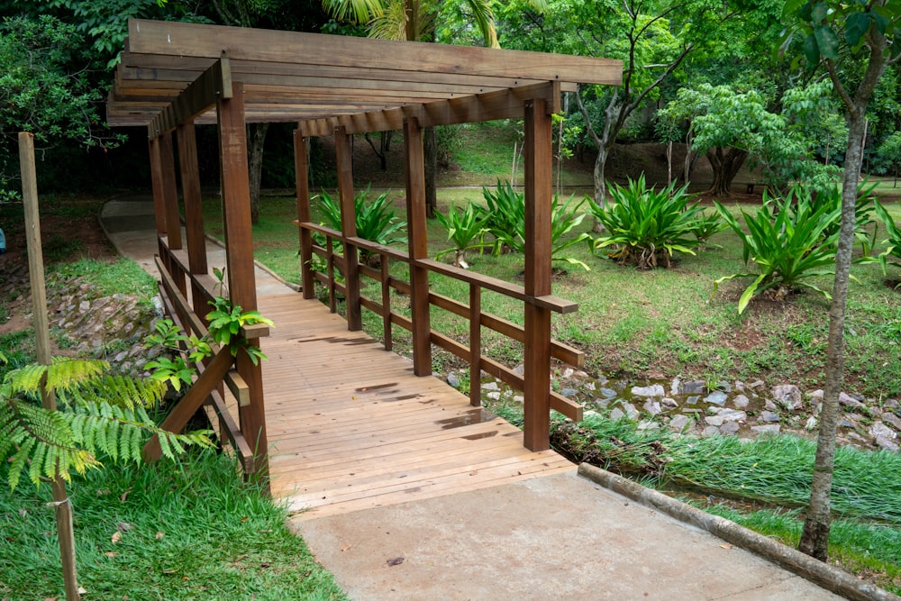 a wooden walkway leading to a lush green forest