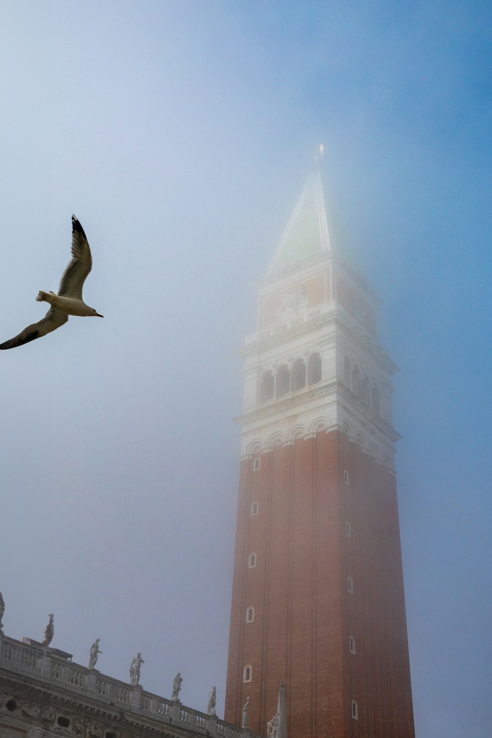 ein Vogel, der vor einem Glockenturm fliegt