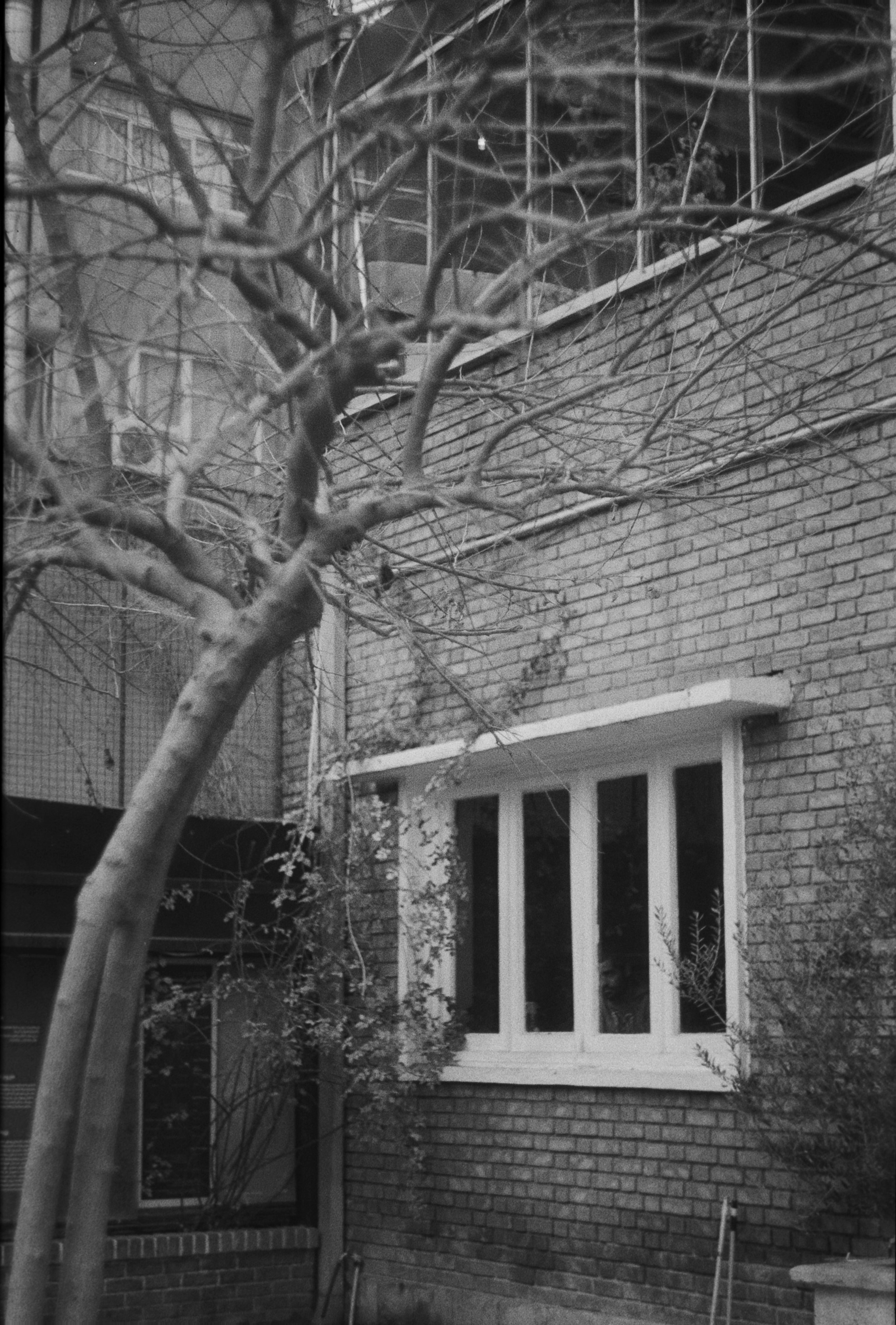 Photo by anitarahalzadeh