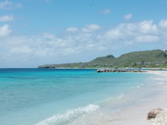A serene beach with turquoise waters and a small plane flying low overhead.