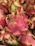 Close-up of vibrant red dragon fruit halves showcasing their juicy texture.