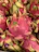 Close-up of vibrant red dragon fruit halves showcasing their juicy texture.
