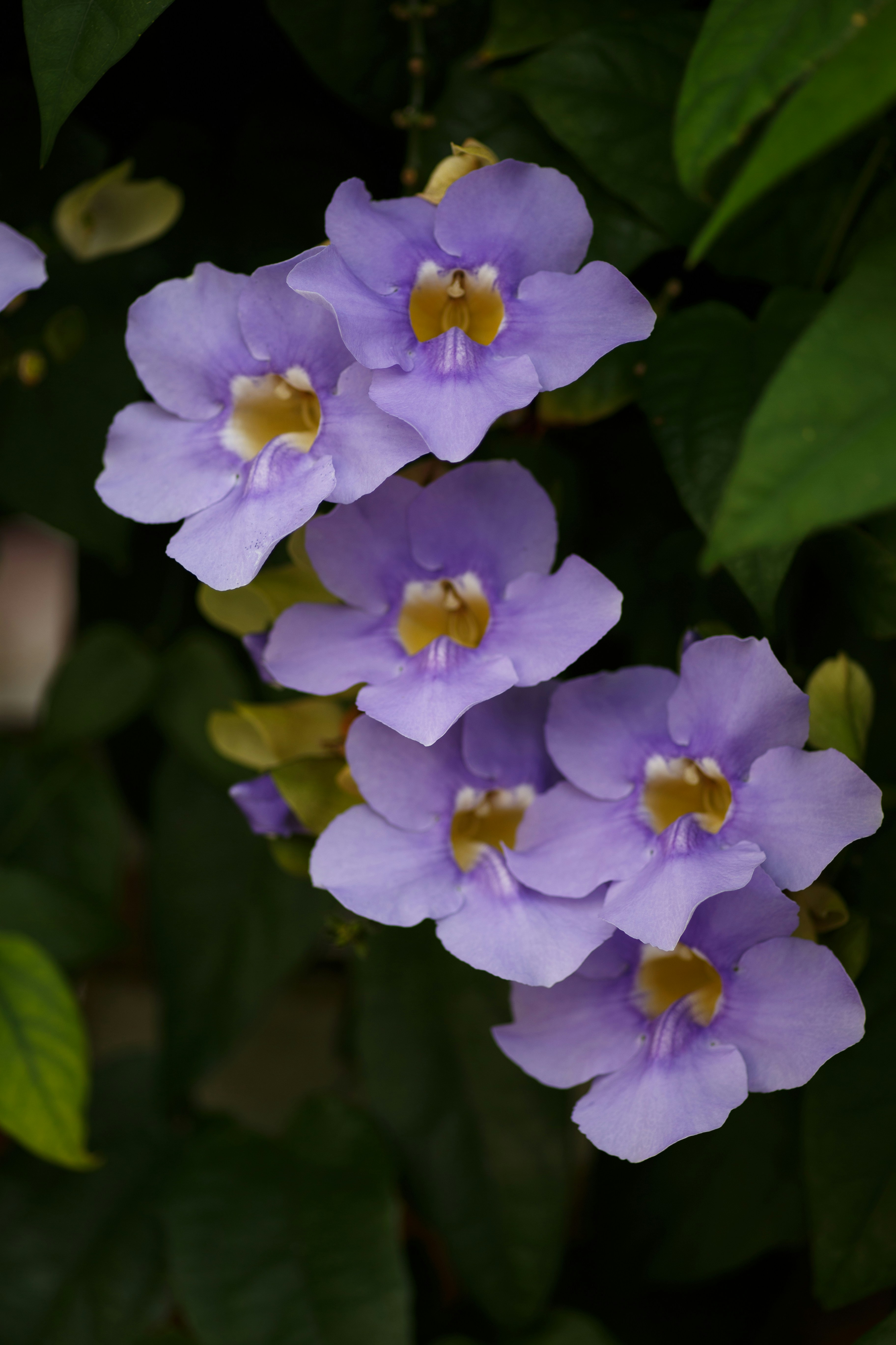 Photo by hectorfalcon