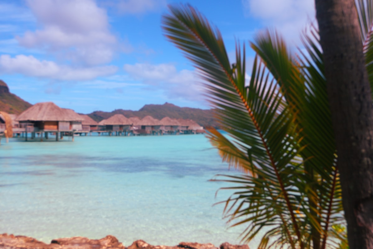 Bora Bora August — overwater resort bungalows in the dry season lagoon with coral clearly visible through the turquoise water at low tide
