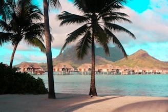 Tropical beach setting featuring overwater bungalows situated on a serene turquoise lagoon, bordered by lush green mountains. The foreground is adorned with tall palm trees providing shade over the sandy beach.