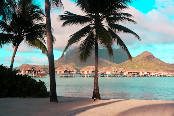 Tropical beach setting featuring overwater bungalows situated on a serene turquoise lagoon, bordered by lush green mountains. The foreground is adorned with tall palm trees providing shade over the sandy beach.