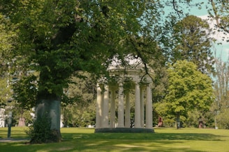 a group of people sitting on a bench under a tree