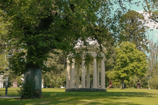 a group of people sitting on a bench under a tree