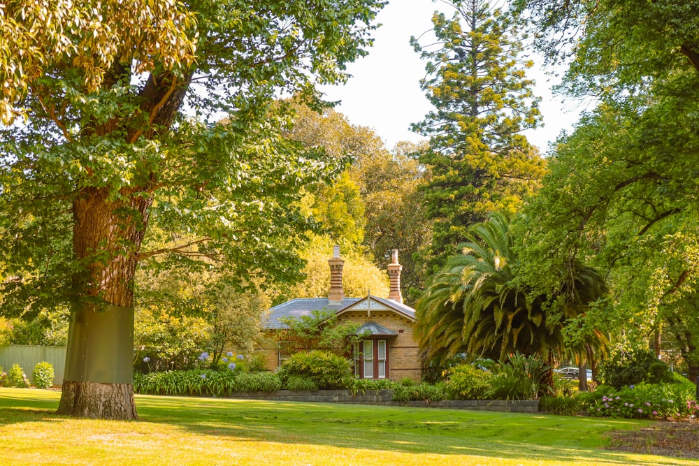 a house in the middle of a lush green park