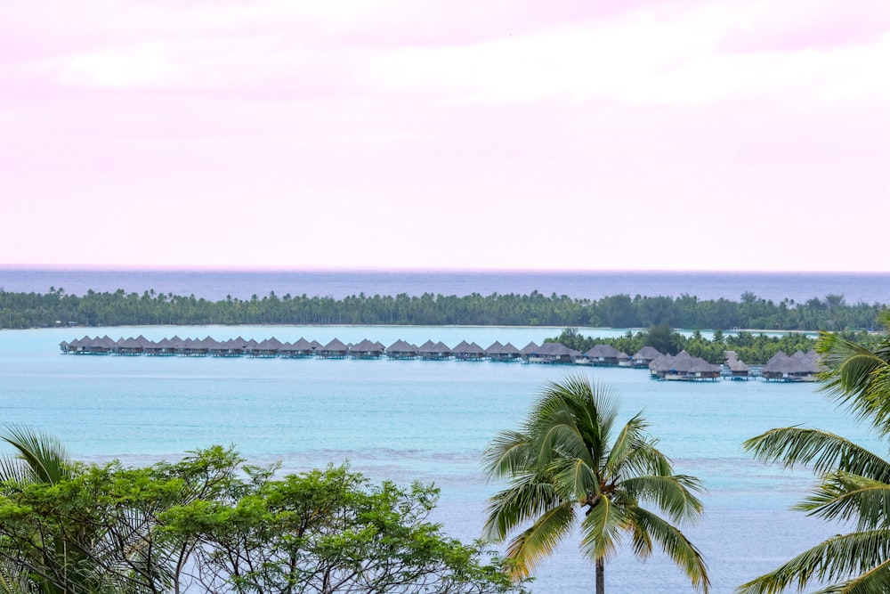 a view of a tropical island with palm trees in the foreground