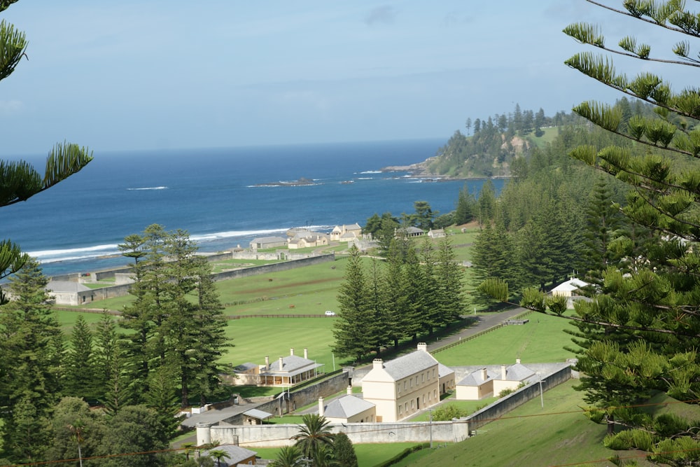 a view of the ocean from the top of a hill