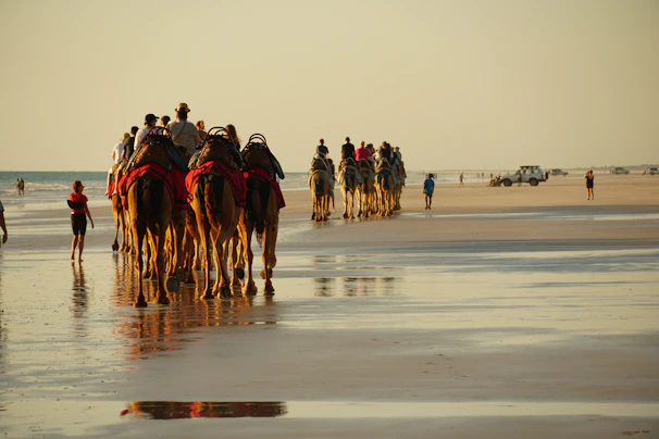 A group enjoying a comfortable ride along the scenic Cable Beach coastline.