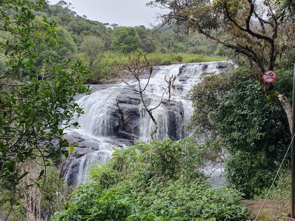 a waterfall in the middle of a forest