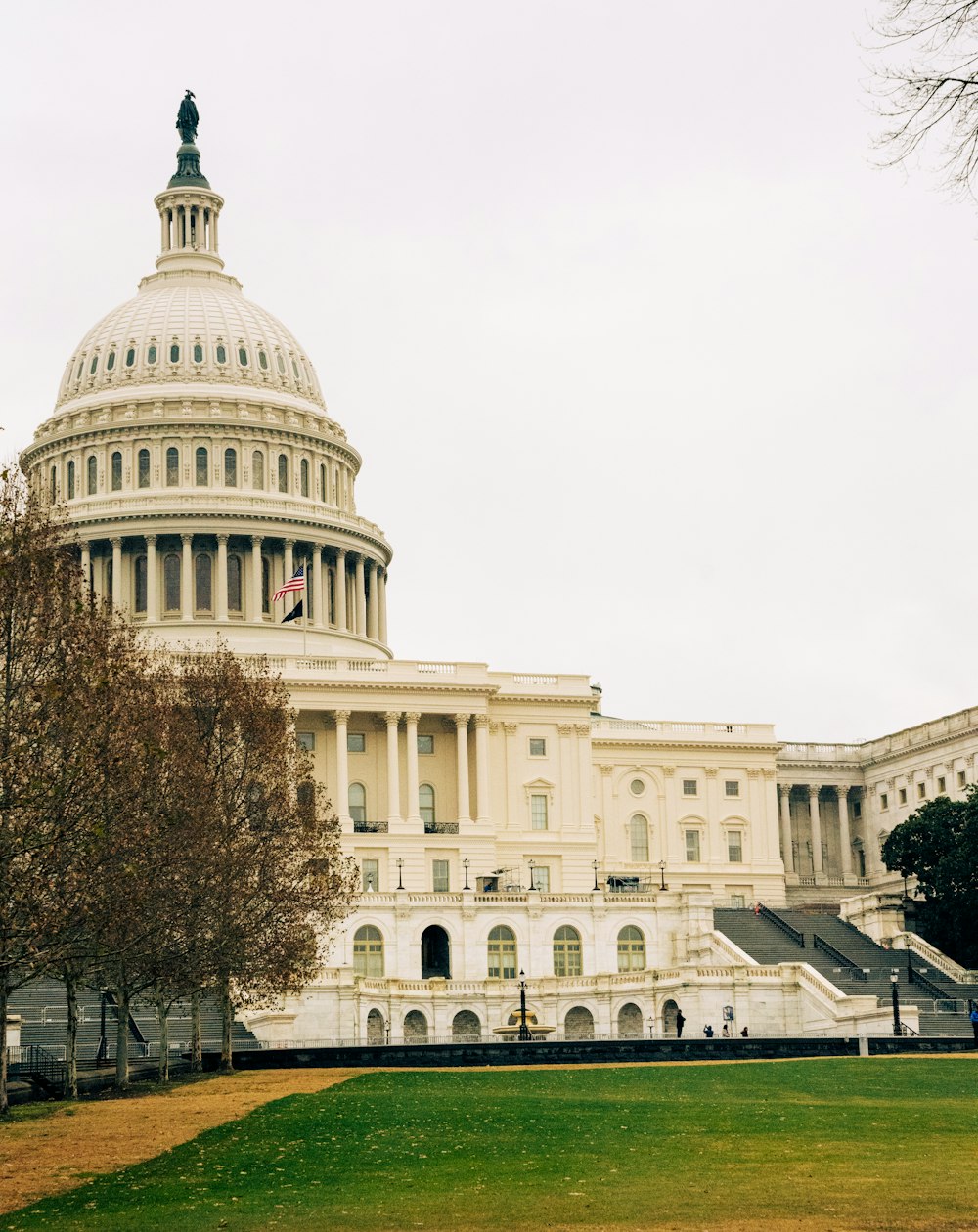 a view of the capitol building from across the lawn