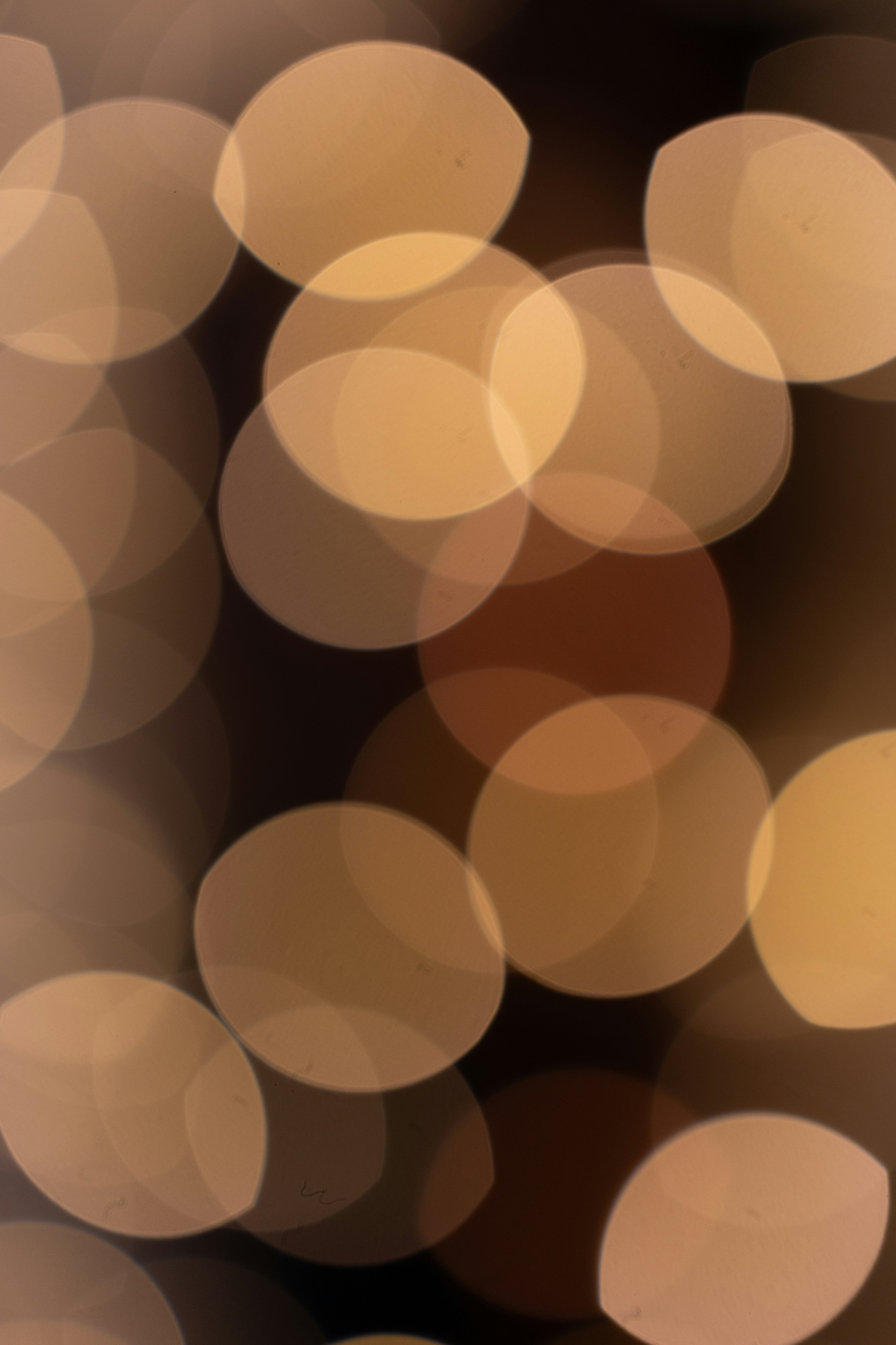 Photo by venturenorthmedia91