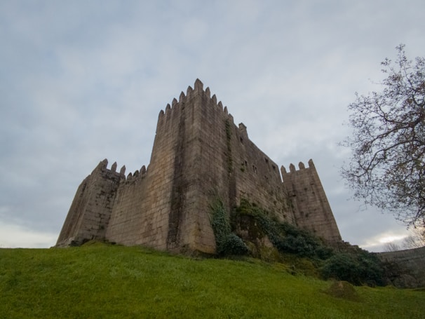 A massive stone fortress with towering walls set against a cloudy sky. The fortress has crenellations along the top and is surrounded by lush green grass and a leafless tree.