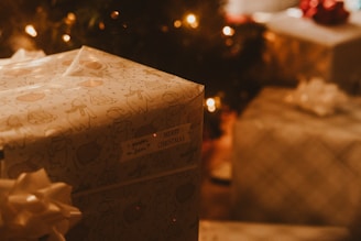 A beautifully wrapped gift under the Christmas tree.