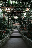 A serene backyard garden with expertly designed walkways, retaining walls, and curated greenery inviting relaxation.