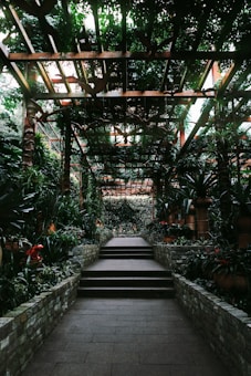 A serene walkway leads through a lush garden, shaded by a wooden pergola covered in dense foliage. Stone planters line the path, overflowing with various green plants and vibrant red flowers. The setting is tranquil and inviting, with a sense of natural beauty and calmness.