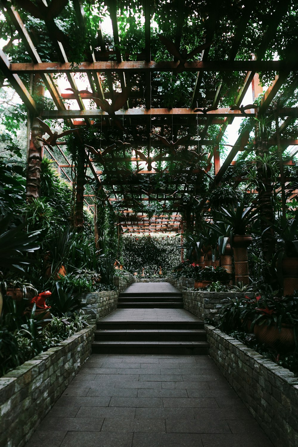 a walkway in a garden with lots of plants