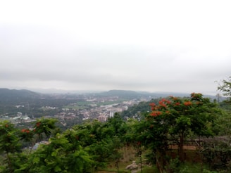 A panoramic shot of Kailasagiri Hill Park with lush greenery and panoramic city views.