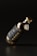 A dark glass bottle with a metallic cap is tilted against a dark background. The label on the bottle features bold typography with the word 'BEER'. The overall aesthetics of the image suggest minimalistic and modern design with an emphasis on sleekness.
