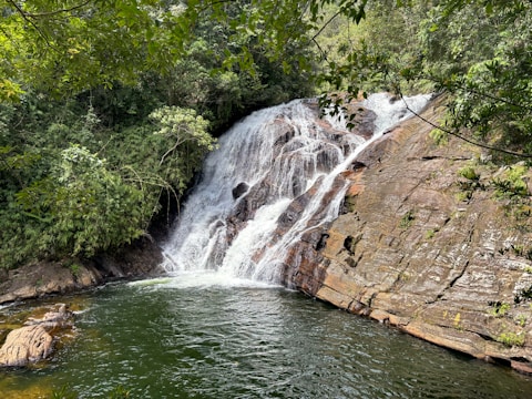 a large waterfall in the middle of a forest