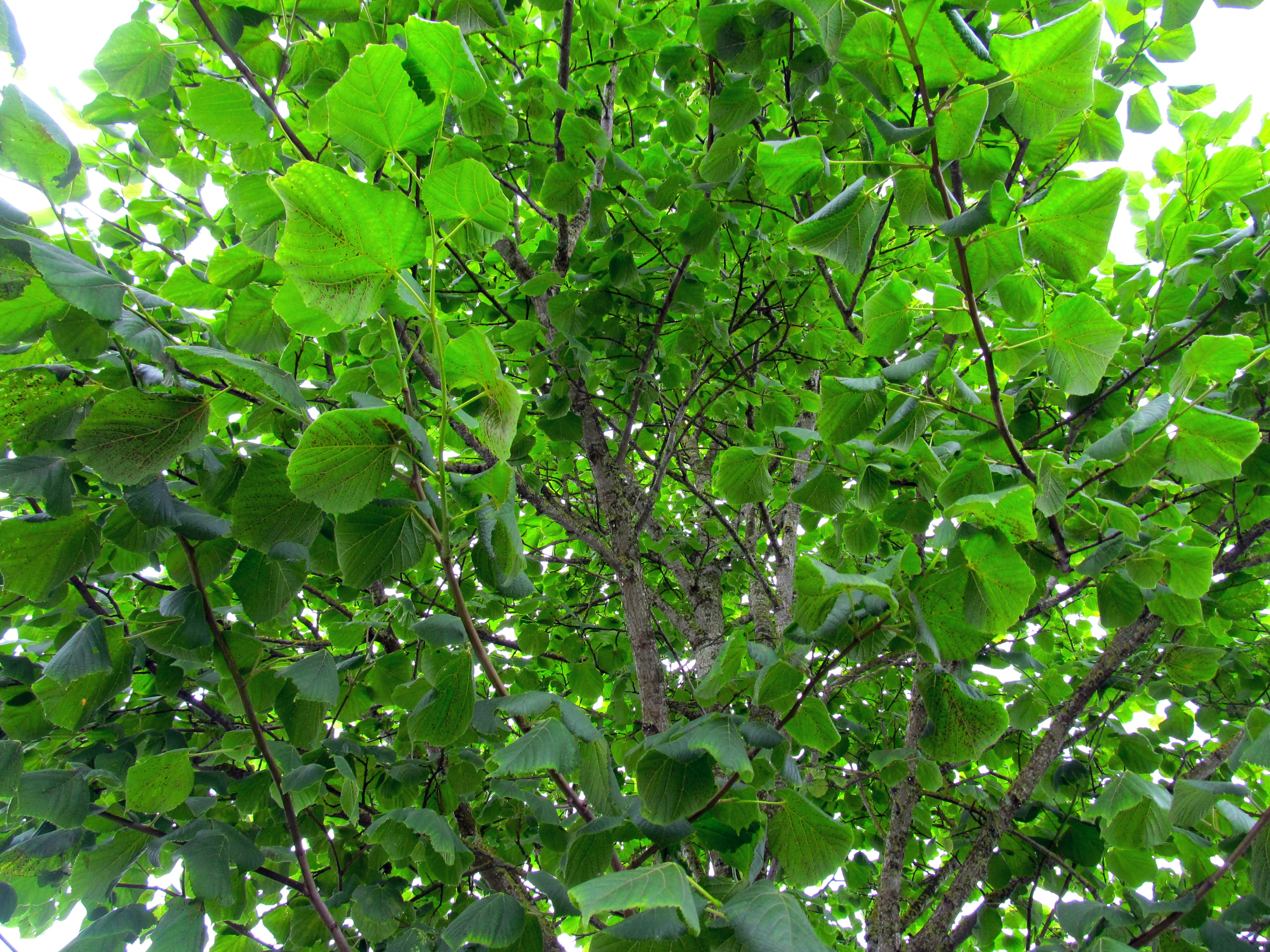 Photo by gabriellasofficialphotography