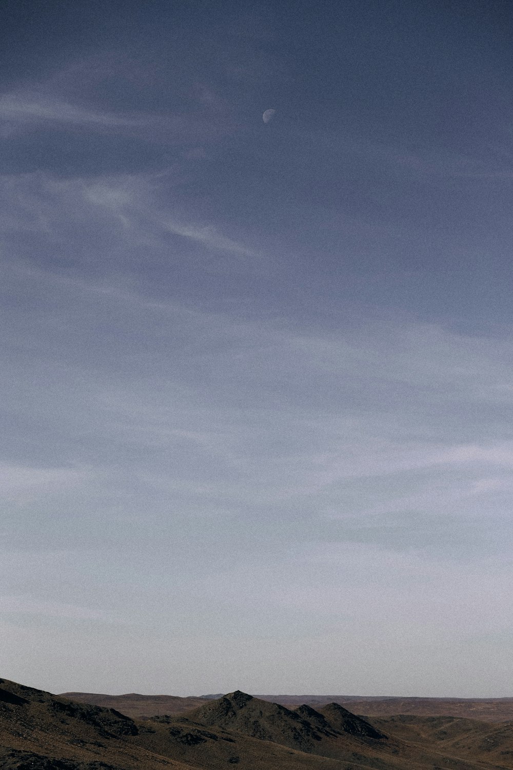 a lone tree in the middle of a desert