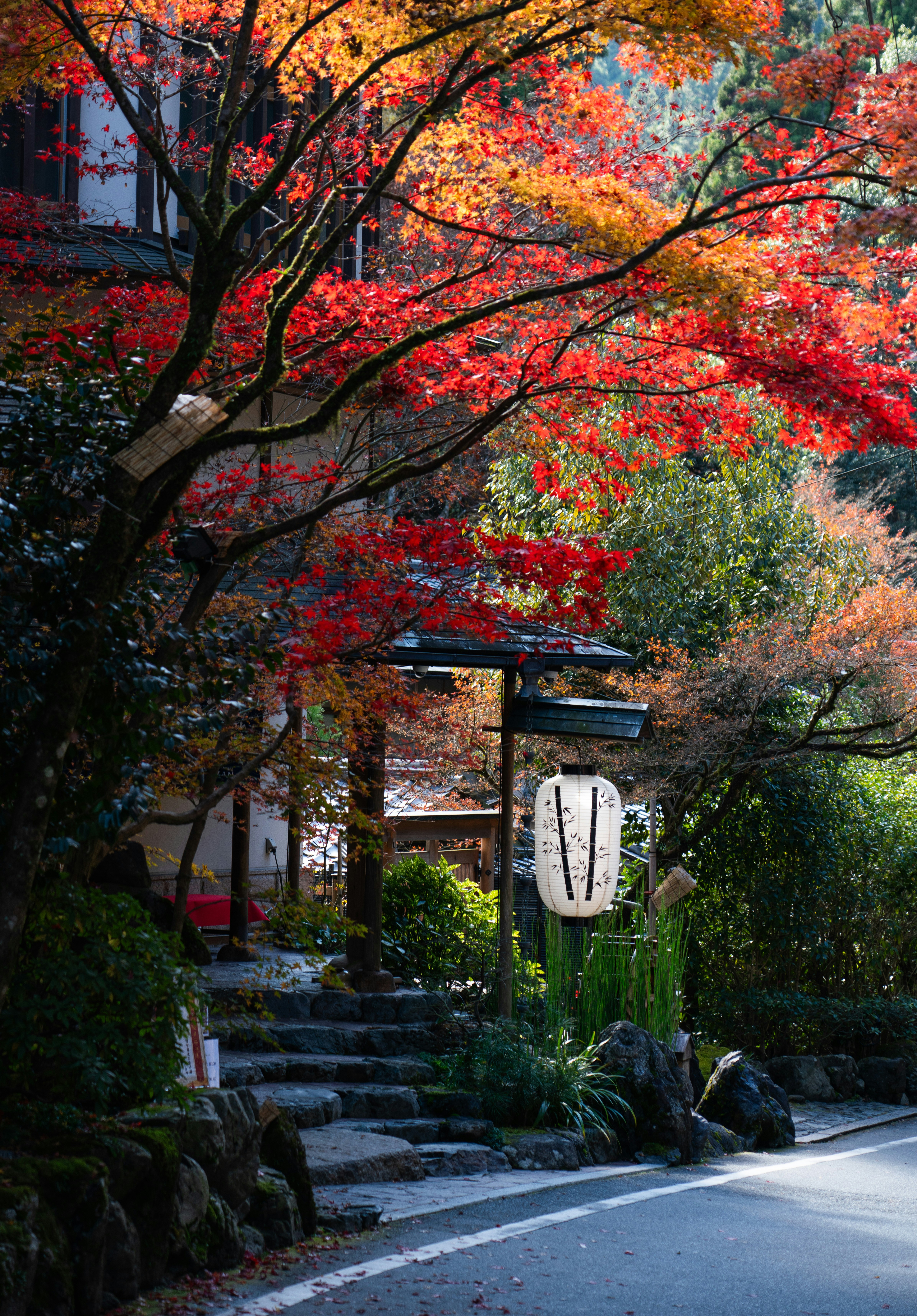 Photo by juniperphoton