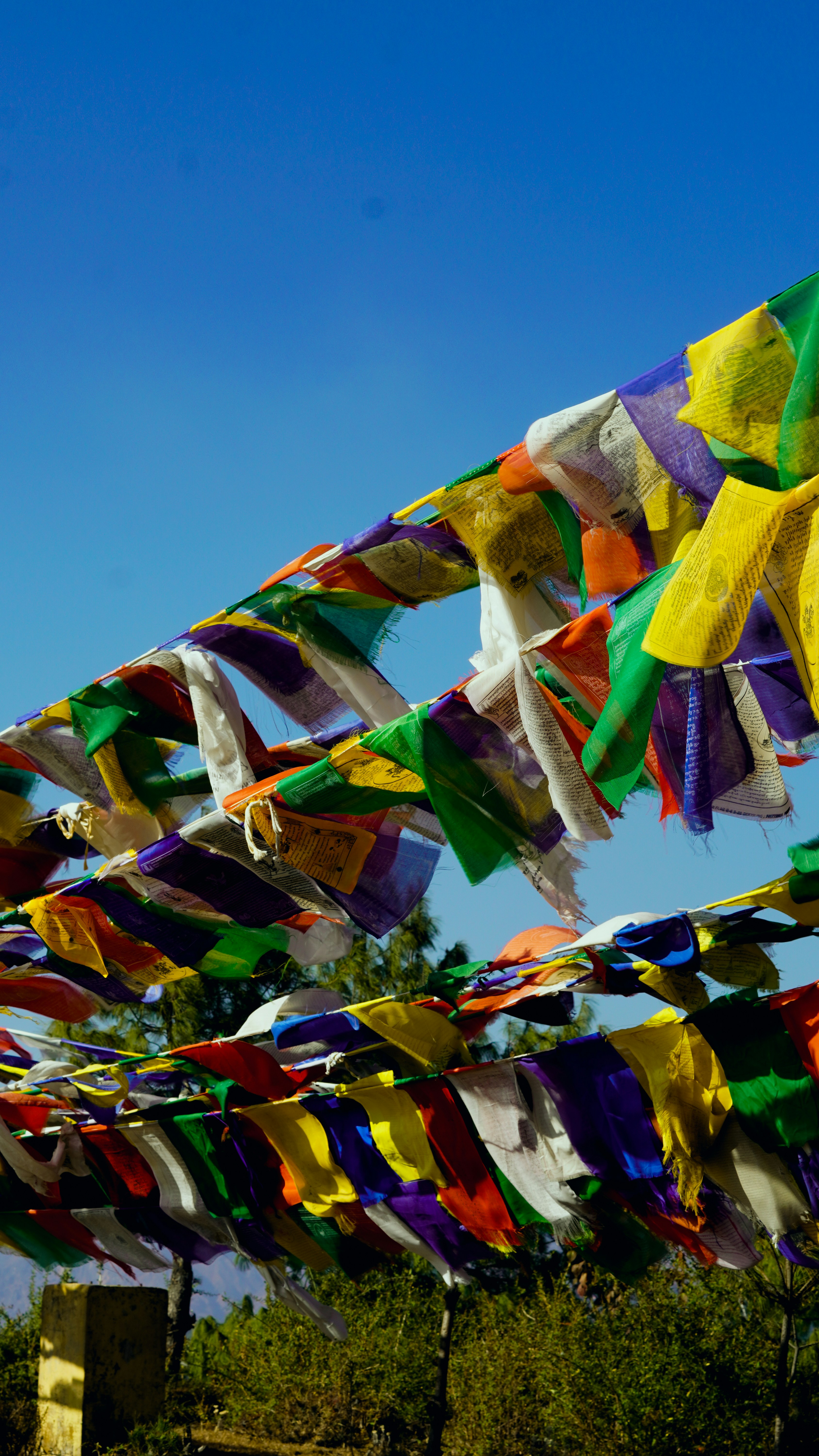 Photo by themountainmoonk2