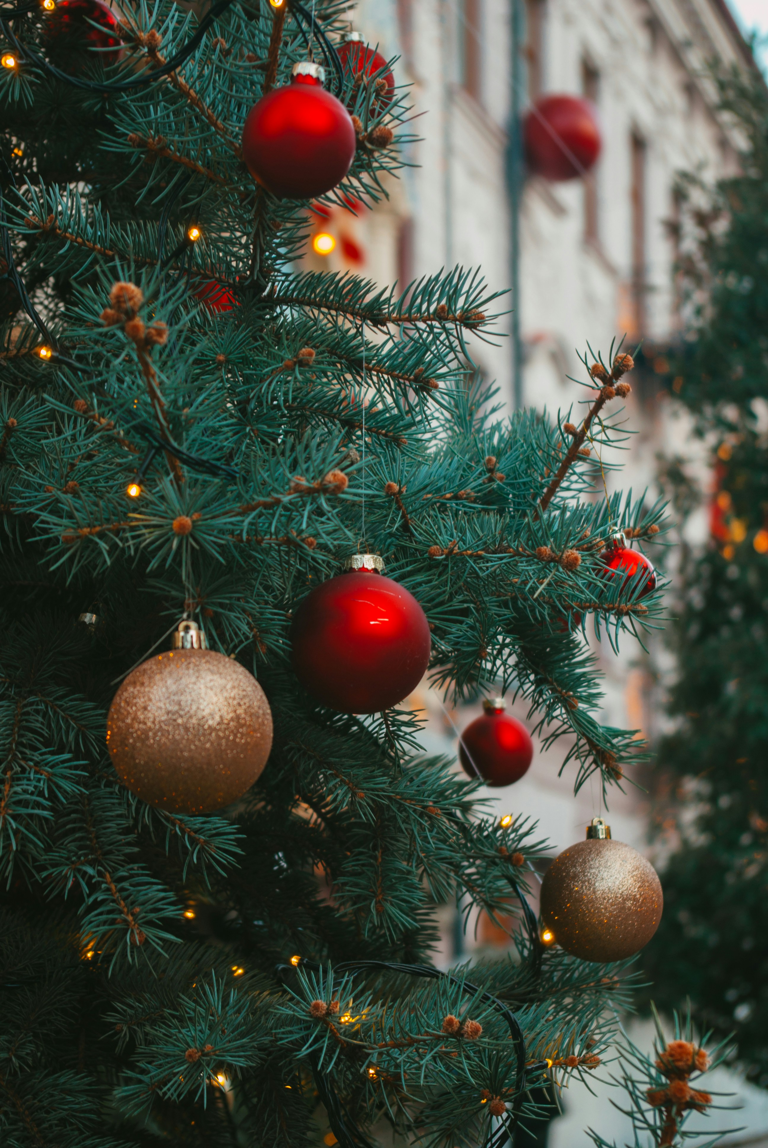 Photo by moonmoons_days