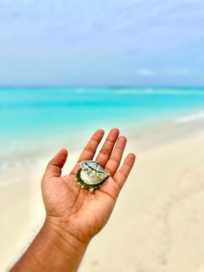 Close-up of hands holding a delicate seashell against a backdrop of turquoise sea.