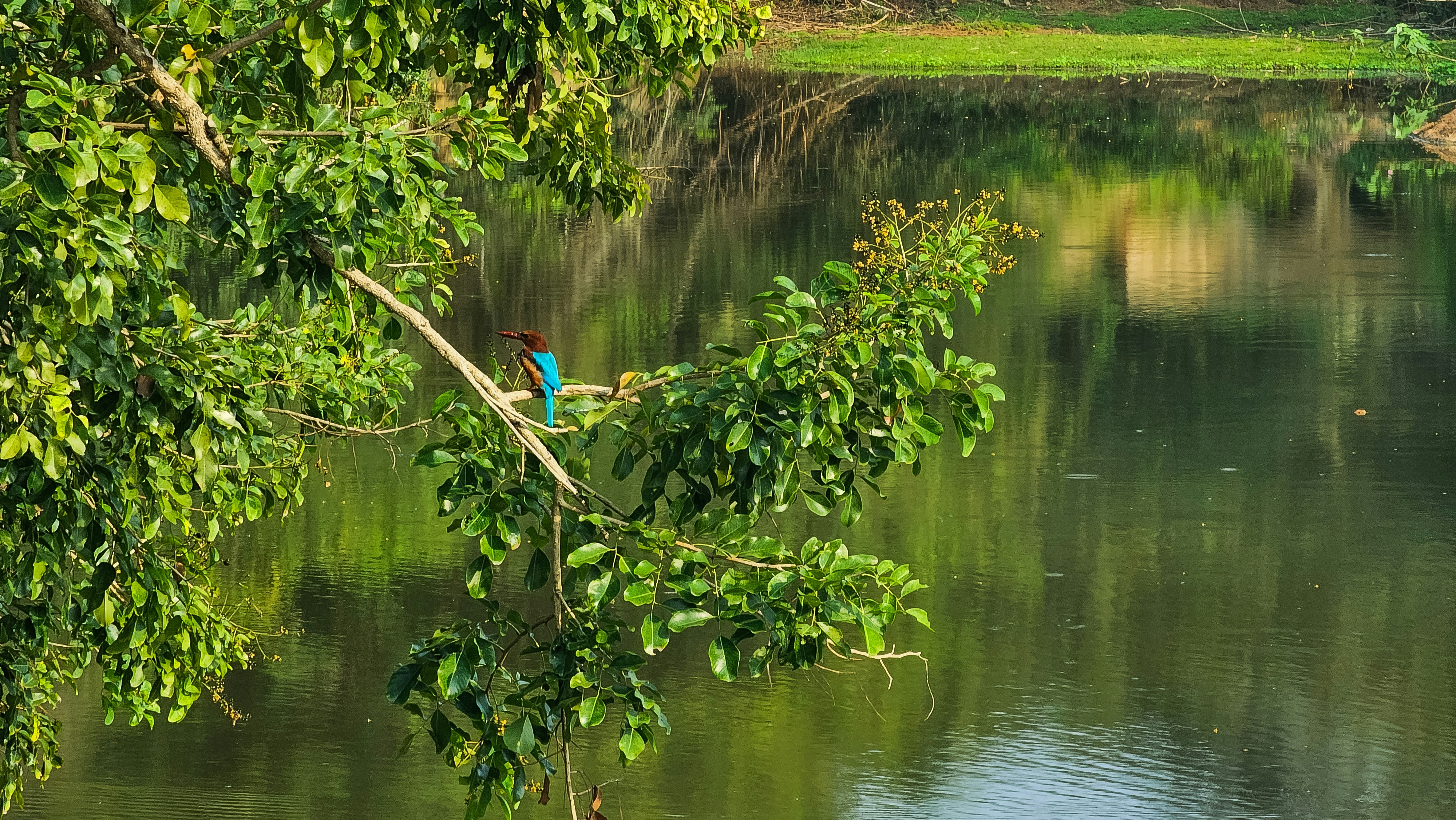 Photo by omerfarooque