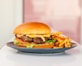 a hamburger and french fries on a plate