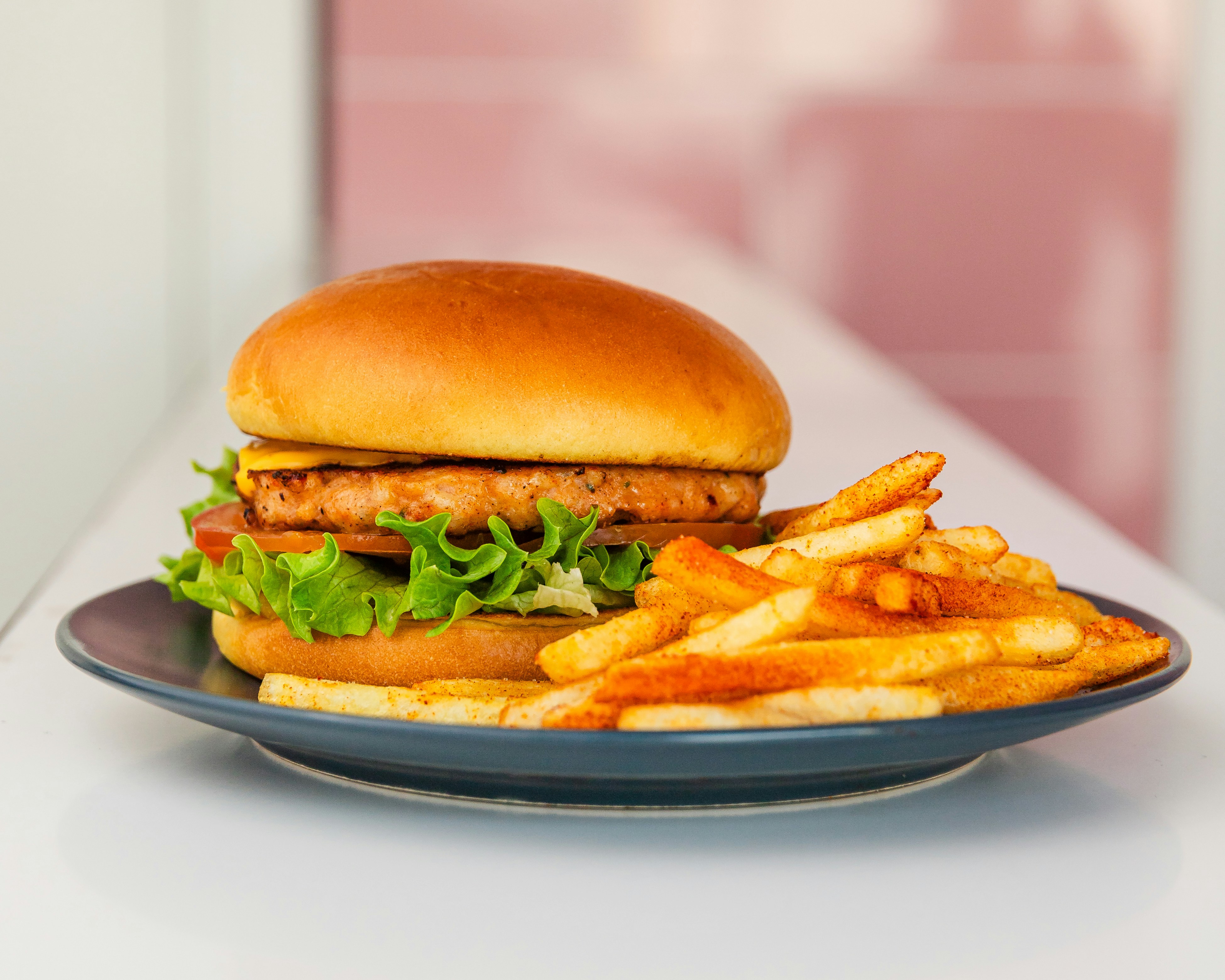 a plate with a sandwich and french fries on it