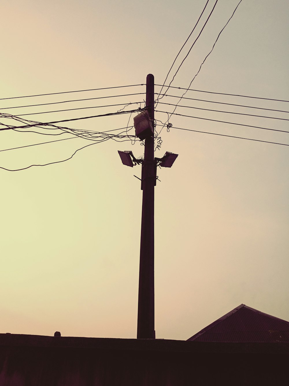 a telephone pole with a street light on top of it