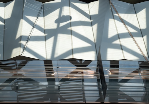 Abstract shadows cast over sleek, dark textured surfaces symbolizing operational clarity.