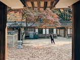 Solo traveler taking photos near ancient temples in South Korea amid autumn leaves