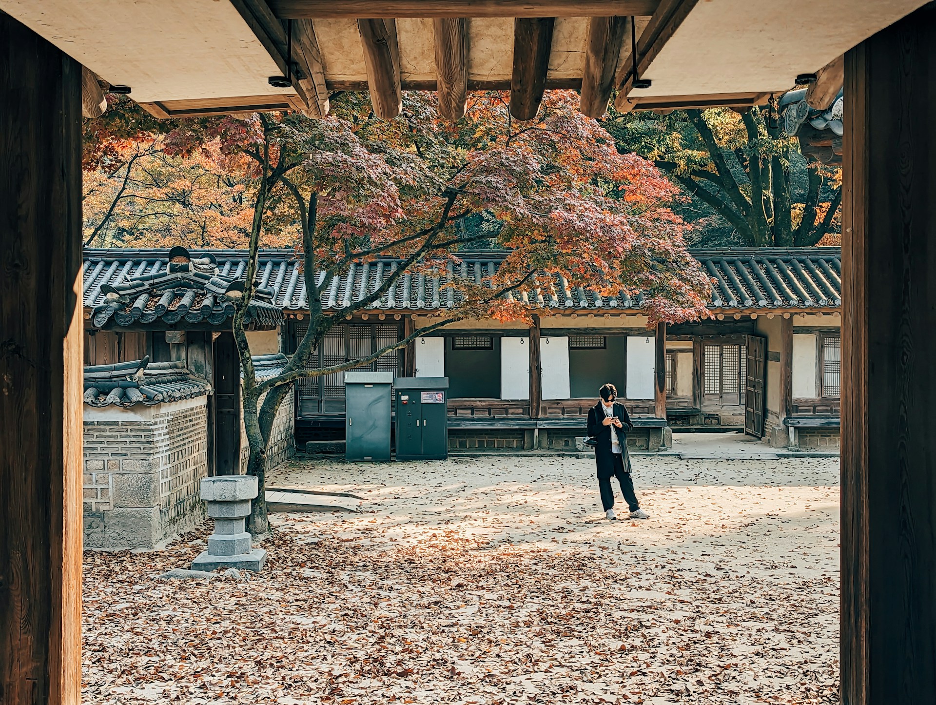 A traditional courtyard with an individual standing on a ground covered with fallen leaves. The building features traditional Korean architecture with wooden beams and tiled roofs. A tree with vibrant autumn foliage adds rich color to the scene.