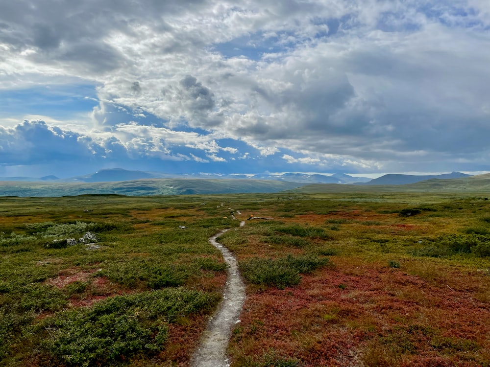 a dirt path in a grassy field with mountains in the background