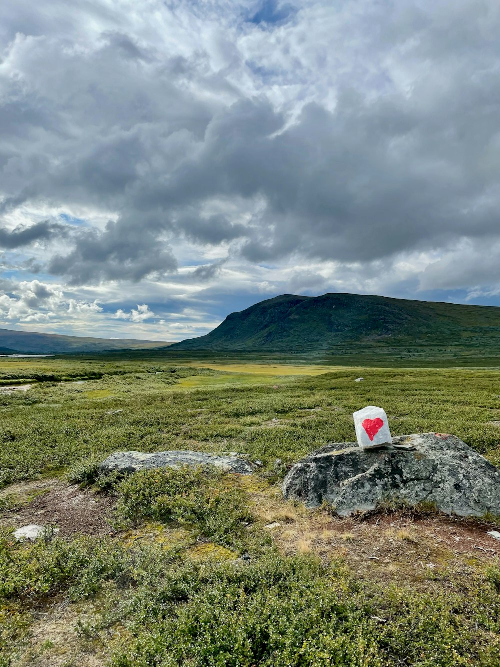 a red and white sign sitting on top of a rock in a field