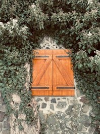 A wooden window with shutters is surrounded by lush green ivy on a stone wall. The vibrant orange-brown color of the shutters contrasts sharply with the dark green leaves and the rustic, gray stone texture.