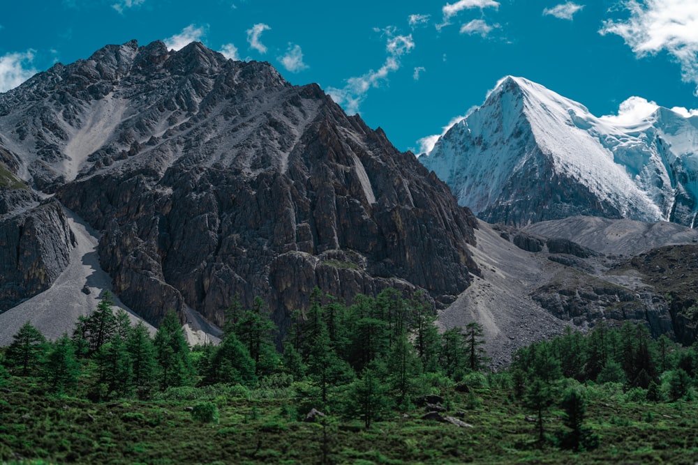 a mountain range with trees in the foreground and a blue sky in the background