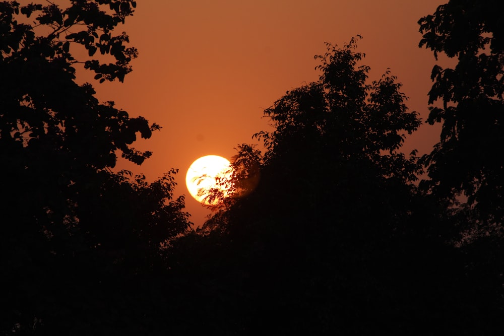 the sun is setting behind some trees