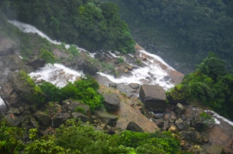 a waterfall in the middle of a lush green forest