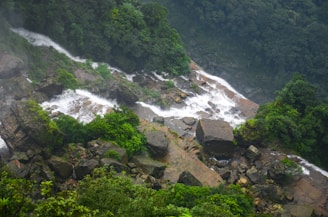 a waterfall in the middle of a lush green forest