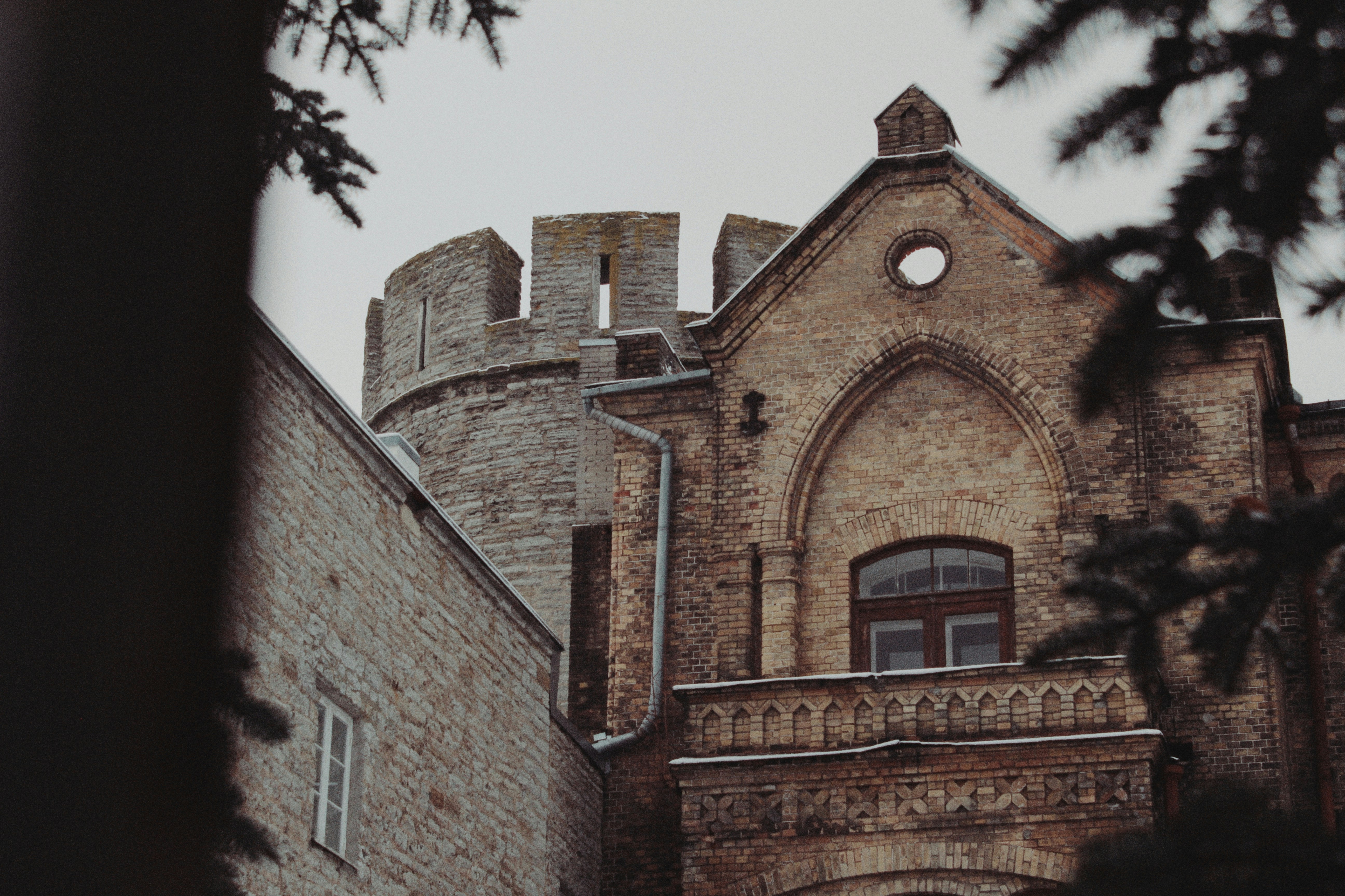 Photo by maximyuryshev